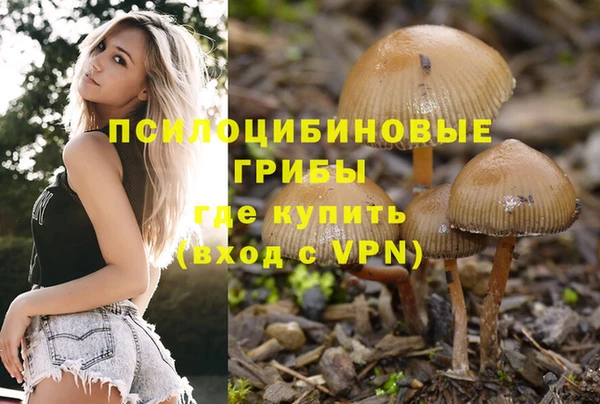 тгк Михайлов