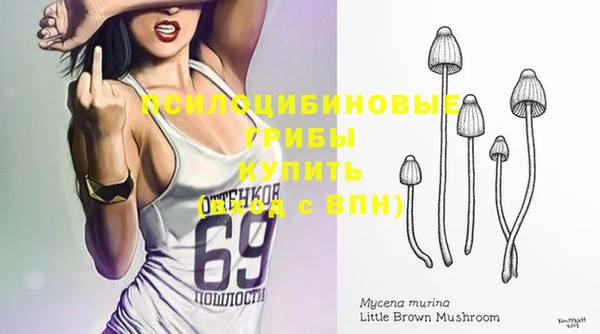 МДПВ Михайловка