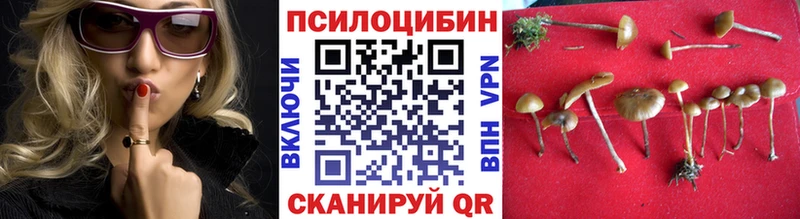 Псилоцибиновые грибы Psilocybine cubensis  Купить  Курган 