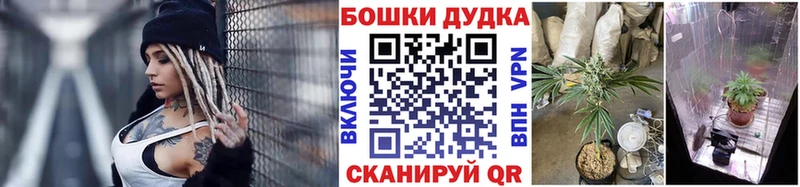 Канабис семена  Купить закладки  Курган 